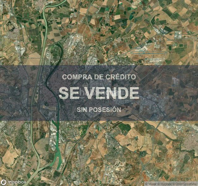 Foto 362db64e-a71a-4376-84e9-74229387b687. Pis a Palmete Sevilla