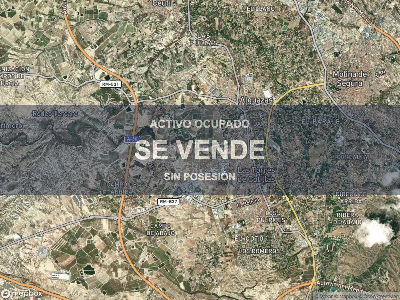 Foto 5e481ee0-1b0e-4e90-97a8-5e1824e6ff33. Pis a Torres de Cotillas (Las)