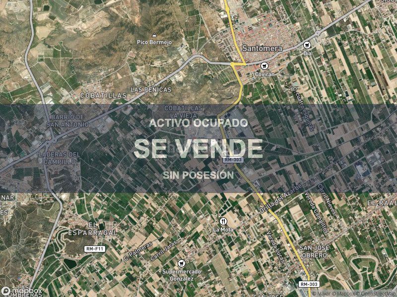 Foto a8a8edcc-6d38-47df-999d-a761e88d4674. Pis a Santomera