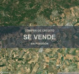 Pis a Centro