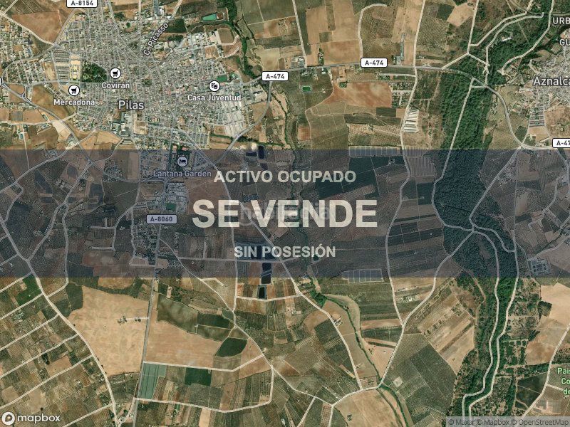 Foto 2c767137-2e73-4c3f-bdcb-fa3f644f2f12. Pis a Pilas