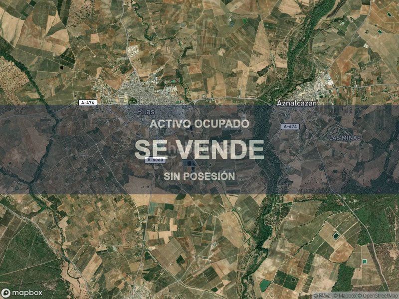 Foto ad2a6926-285d-4d35-bc81-fe80b8b555ea. Pis a Pilas