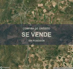 Terreny residencial a Buenavista. Vivienda en buenavista