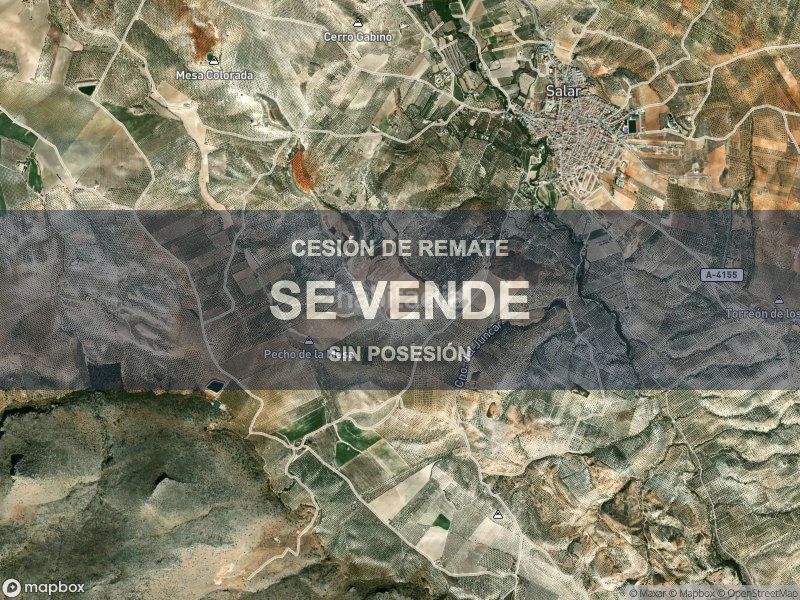 Foto e45be5f2-4a98-4802-a252-57140ac2cee9. Pis a Salar