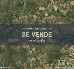 Terreny residencial a Buenavista. Vivienda en buenavista