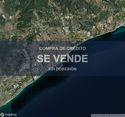 Pis a Cirera
