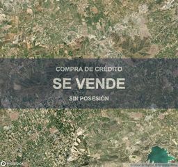 Pis a Orihuela Ciudad
