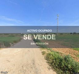 Pis a Trigueros. Vivienda  1074 m en trigueros