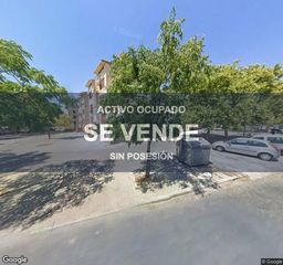 Pis a La Oliva