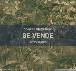 Terreny residencial a Buenavista. Vivienda en buenavista