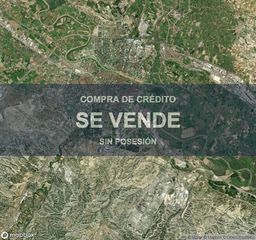 Pis a San José