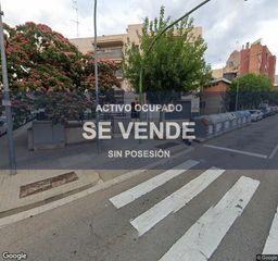 Pis a Cirera