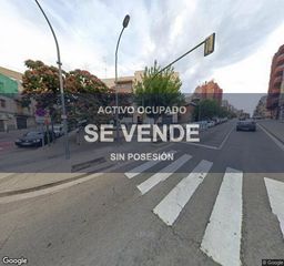 Pis a Cirera