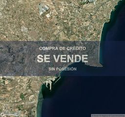Pis a Virgen del Remedio - Parque Lo Morant