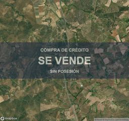 Terreny residencial a Buenavista. Vivienda en buenavista