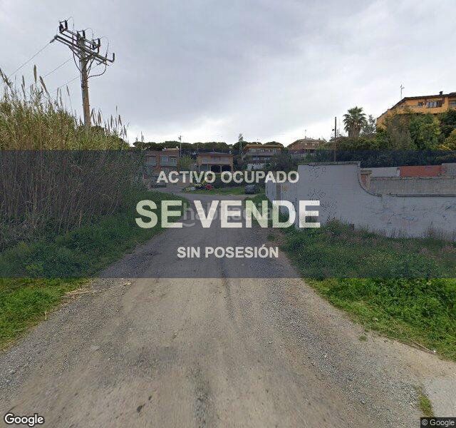 Foto 2a8df365-715e-4e0b-9db0-ff264eedc65b. Pis a La plantera Blanes