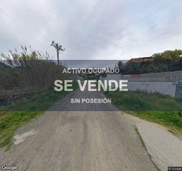 Pis a La plantera