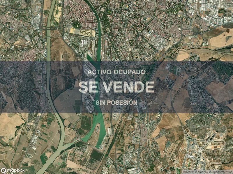 Foto 51ff1315-7ad6-473d-aae9-d96df9467531. Pis a La Oliva Sevilla