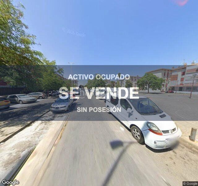 Foto a55edfb0-cdd1-4f11-8126-fcc6c99e13c7. Pis a La Oliva Sevilla