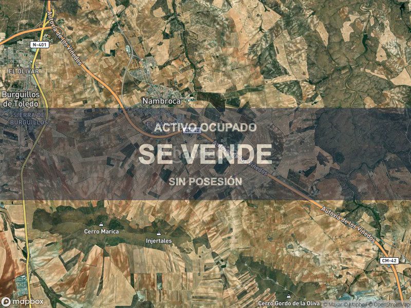 Foto b9e40805-4393-4756-a7e8-ada8f56c2456. Pis a Nambroca