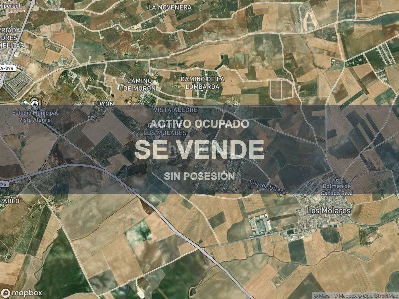 Foto 9f8f565c-3cc9-4f09-b96f-34df98fbf452. Pis a Molares (Los)