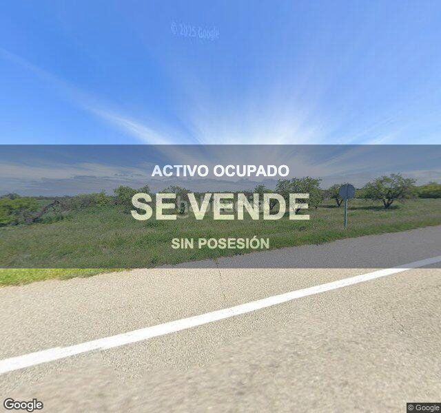 Foto bed21489-90d7-456f-ab28-e4d1ab746441. Pis a Tàrrega