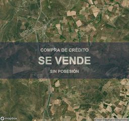 Terreny residencial a Buenavista. Vivienda en buenavista