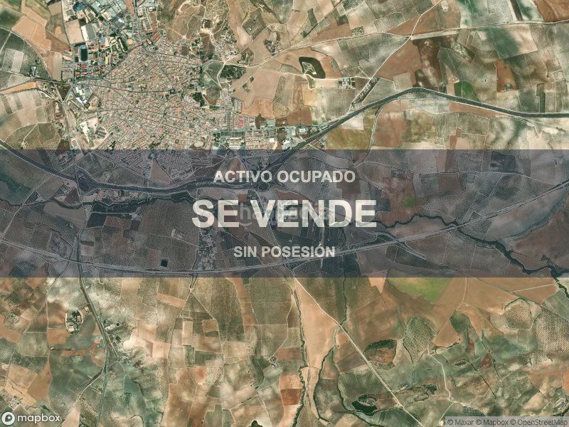 Foto bfb6c07d-26c2-43b5-802a-4f0cf0d7aee6. Pis a Osuna