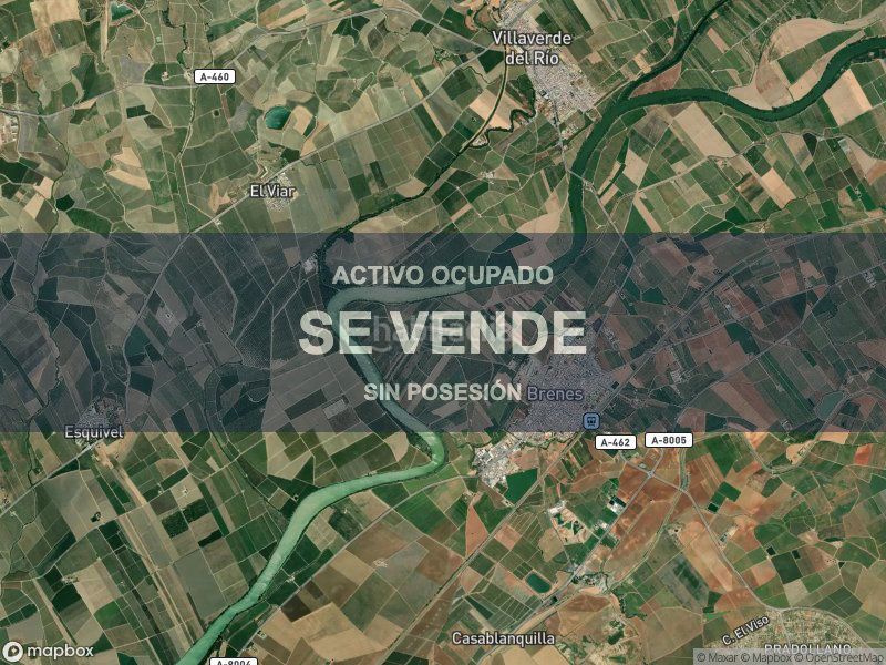 Foto 60f01b7c-7a19-463e-ba0b-56067dc4f8fd. Pis a Brenes