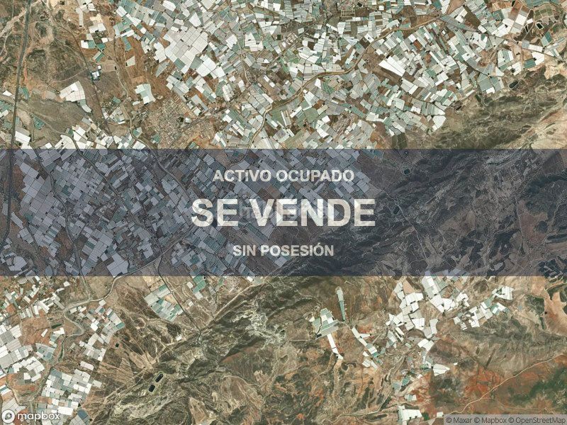 Foto ad207fbf-4ea9-47ef-9859-655a579047a0. Pis a San Isidro - Campohermoso Níjar