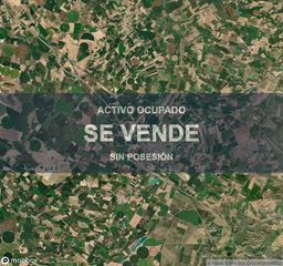Etagenwohnung in Almacelles. Vivienda  1241 m en almacelles