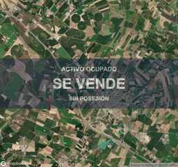 Pis a Almacelles. Vivienda  1241 m en almacelles