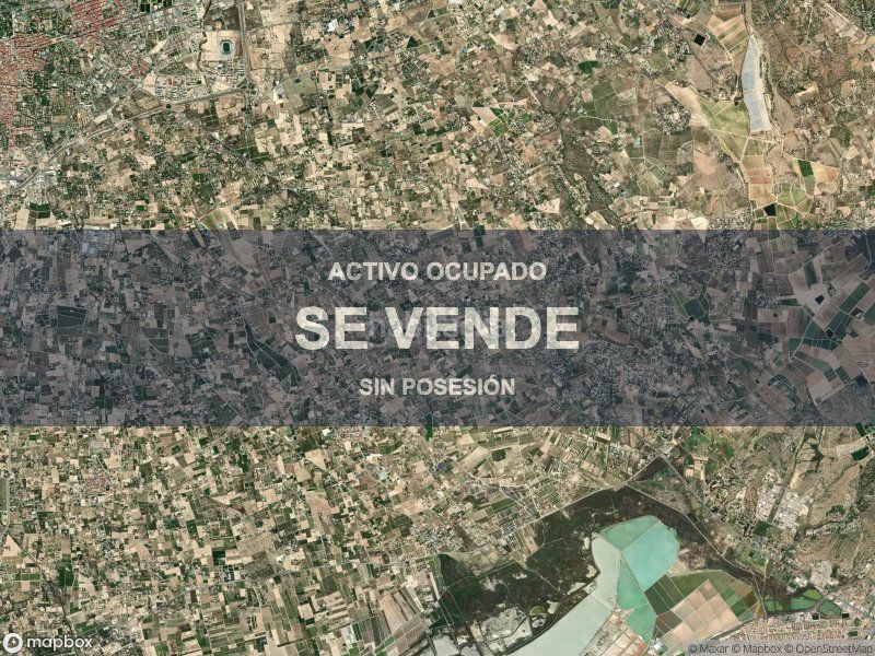 Foto 55a63814-b89a-4d66-a82b-0736370cdd8d. Pis a Las Bayas Elche / Elx