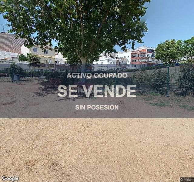Foto c92da678-7e2d-4c14-a34f-f75c7d8ae457. Pis a Els Pavos Blanes