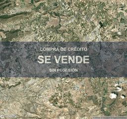 Pis a Ceutí. Vivienda  194 m en ceuti