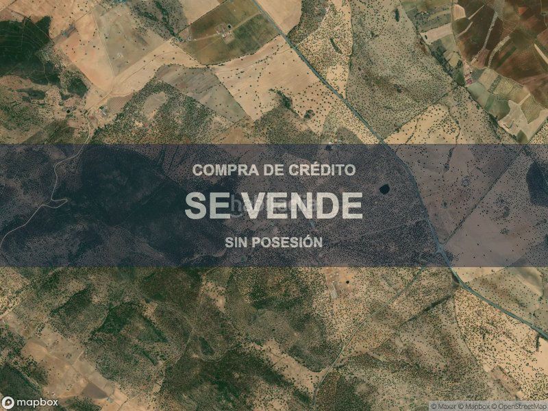 Foto 50e48d0b-8ded-4e0a-b58a-2b35bfdff7ea. Finca rústica a Parra (La)