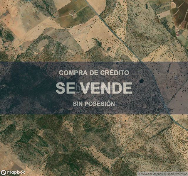 Foto c4fe0d81-c469-4e9b-8e8f-b55d93bc4043. Finca rústica a Parra (La)