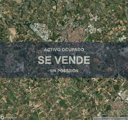 Pis a Migjorn. Vivienda  84 m  2 hab. en reus