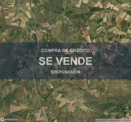 Terreny residencial a Buenavista. Vivienda en buenavista