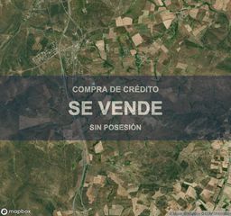 Terreny residencial a Buenavista. Vivienda en buenavista