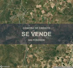 Terreny residencial a Buenavista. Vivienda en buenavista