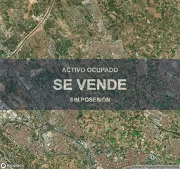 Pis a Borbotó