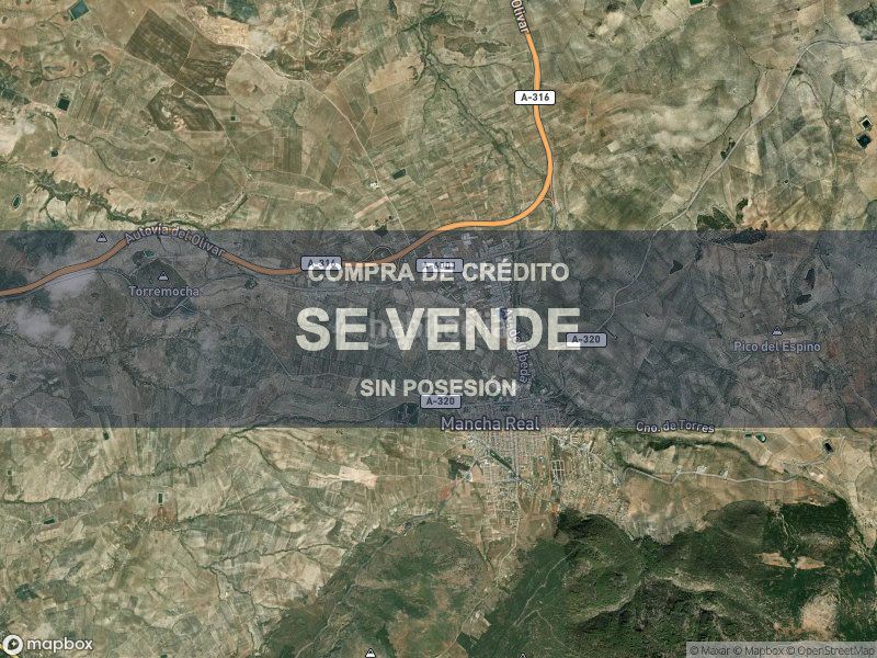 Foto 7d426ed1-5ffb-4844-97ed-1b28faeb8c66. Pis a Mancha Real