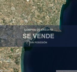 Pis a San Antón