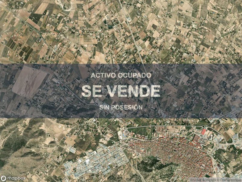 Foto a5bf9397-462d-4800-a36f-f6014f9dd057. Pis a Yecla