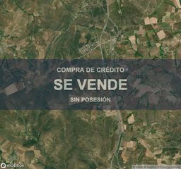 Terreny residencial a Buenavista. Vivienda en buenavista