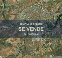 Pis a Prosperidad - Delicias