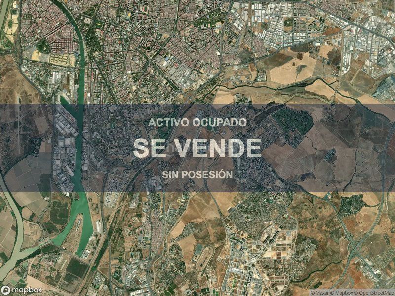 Foto c32b41e2-d51a-4bb5-a15a-04ac22d68516. Pis a La Oliva Sevilla