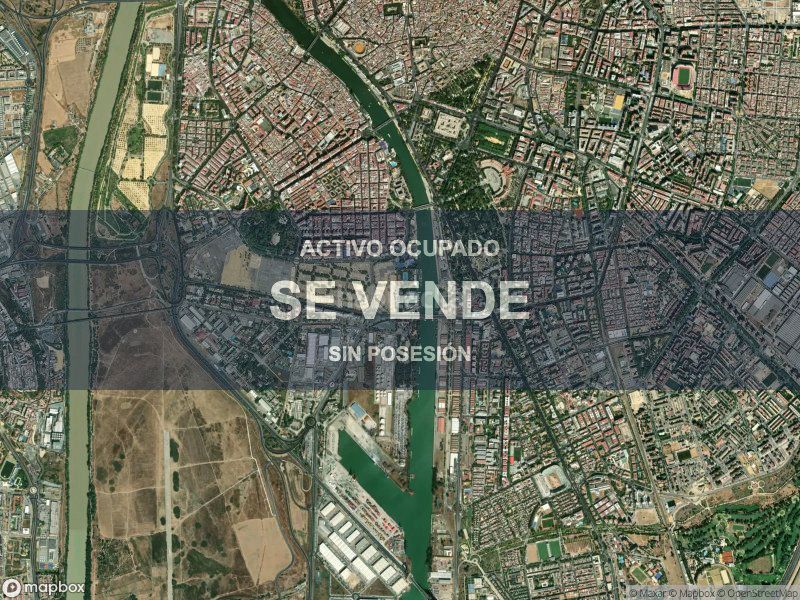 Foto e213eea6-b8c7-4250-b2b1-abffcd6dafa1. Pis a La Oliva Sevilla
