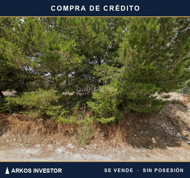 Foto 8878d8dd-fd07-4622-a21d-d5a895f1ead3. Pis a Pulgara Lorca